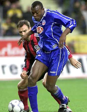 为何关于马 为何关于马